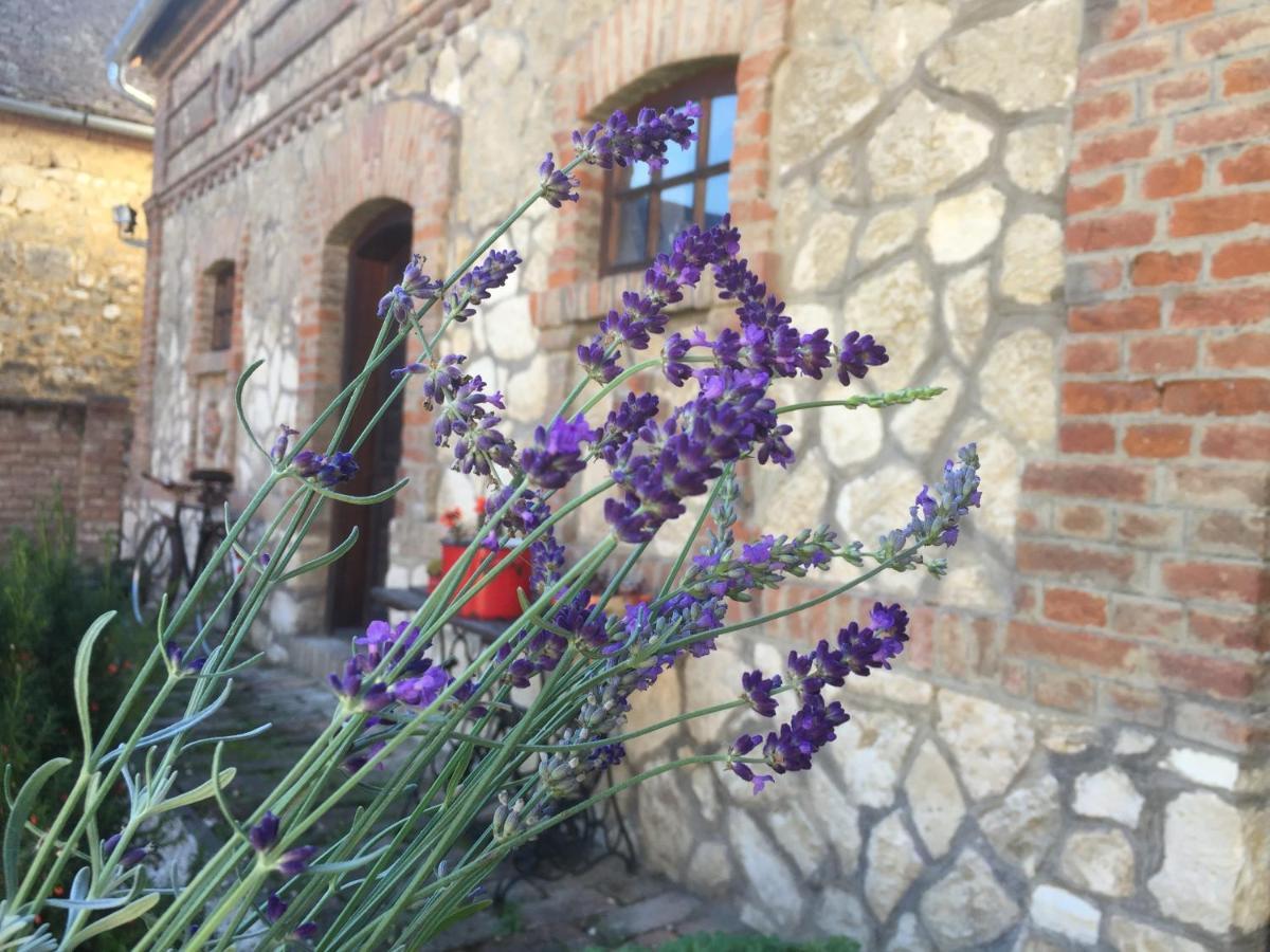 ホテル Levendula Porta Es Pajtaszinhaz Orfű エクステリア 写真